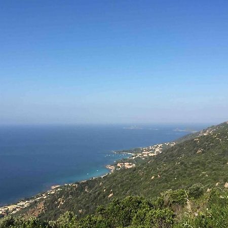 Ajaccio Magnifique T2 Neuf 40M2 Avec Balcon Au Trottel 4 Couchages Wifi Clim Parking Plage A Pieds 100M Экстерьер фото